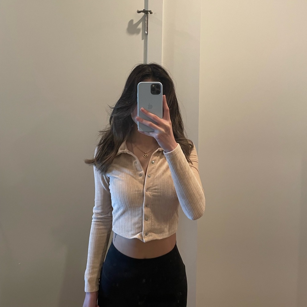 Pacsun long sleeve fitted crop top